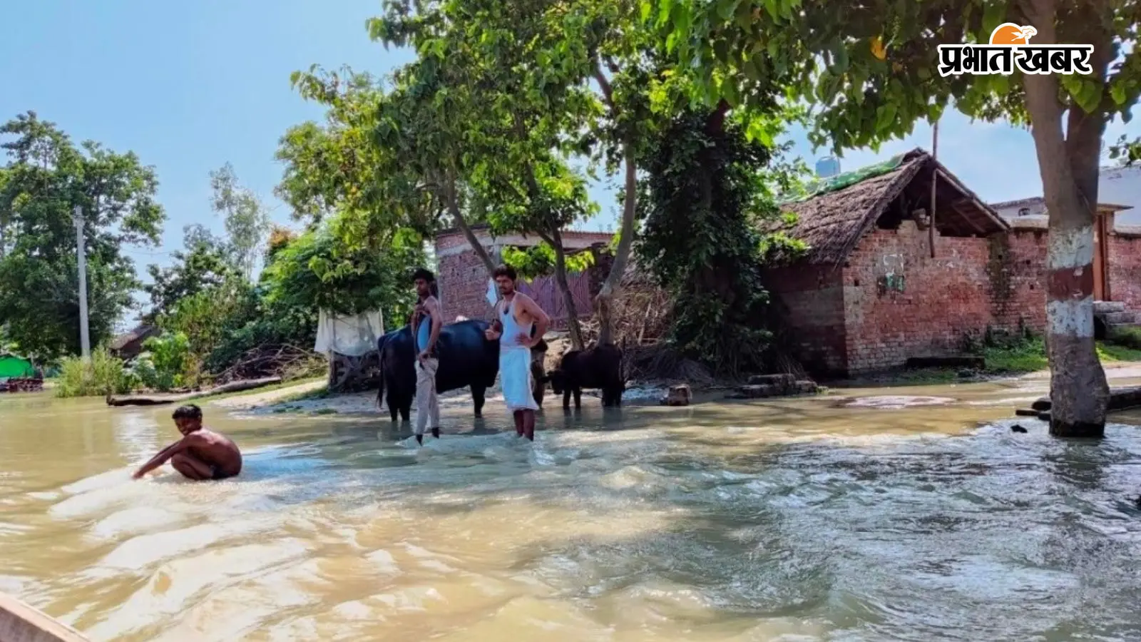 UP Flood: यूपी में बाढ़ का महाकहर! 37 जिलों में तबाही, 3.53 लाख लोग प्रभावित, हजारों की जिंदगी पानी में फंसी
