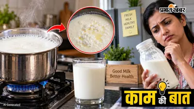 दूध उबालकर भी जल्दी फट जाता है? कहीं आप तो नहीं कर रहे ये गलतियां
