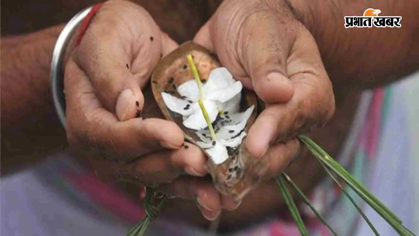 कुशी अमावस्या पर क्यों तोड़ी जाती है कुश? जानें पूजा-पाठ में इसका महत्व