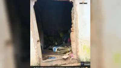 महुआटांड़ में 38 हाथियों का तांडव, धान-मक्का की फसलें रौंदी; गरीब परिवार का घर भी क्षतिग्रस्त