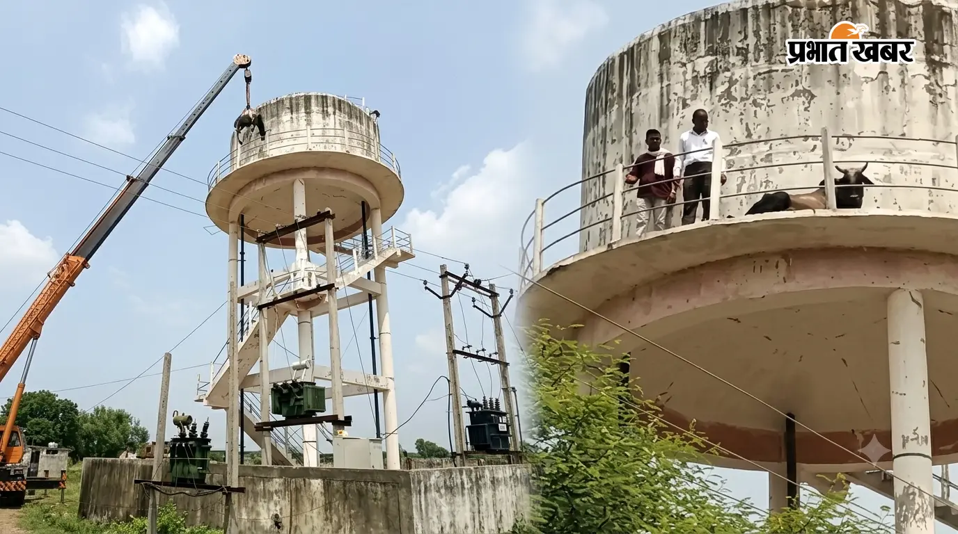 Viral Video: पानी की 50 फीट ऊंची टंकी पर चढ़ा सांड, 36 घंटे फंसा रहा; फिर क्रेन बुलाकर ऐसे बचाई गई जान
