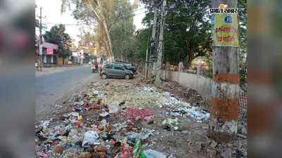 आरा में सड़कों के किनारे पसरा कचरा, दुर्गंध और मच्छरों से लोग परेशान; सफाई नहीं होने से लोगों में आक्रोश