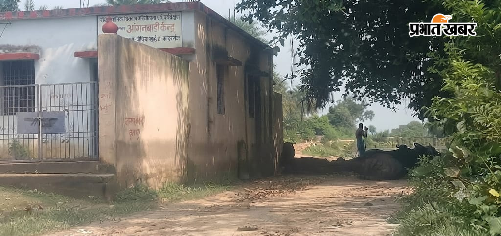 सड़क पर बंधी भैंसों से राहगीर परेशान, आंगनबाड़ी के पास फैली गंदगी से नौनिहाल बेहाल | Prabhat Khabar Network