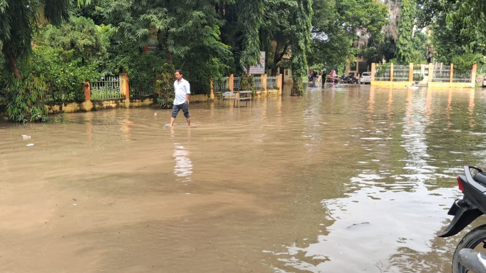 विश्वविद्यालय परिसर में पानी