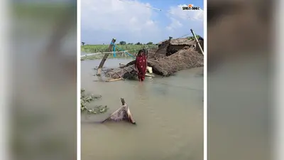 बेतिया के नवलपुर में बाढ़ के दो माह बाद भी राहत नहीं, नाव के सहारे जिंदगी जी रहे ग्रामीण