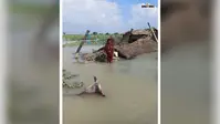 बेतिया के नवलपुर में बाढ़ के दो माह बाद भी राहत नहीं, नाव के सहारे जिंदगी जी रहे ग्रामीण