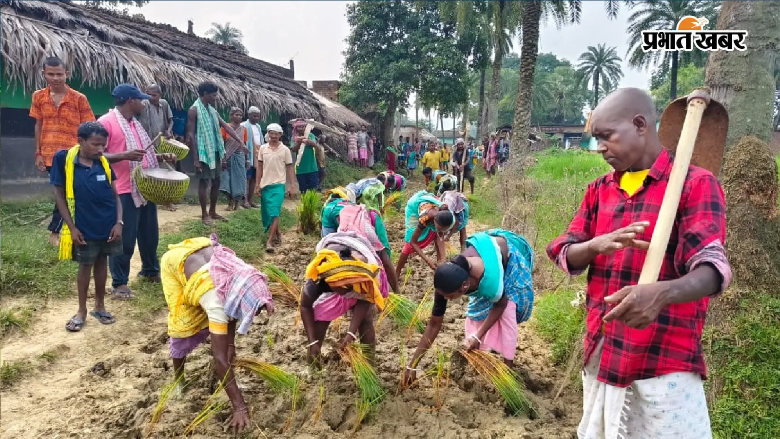 अनोखा विरोध: साहिबगंज के पुआल गांव में नहीं बनी पक्की सड़क तो ग्रामीणों ने रोप दिया धान