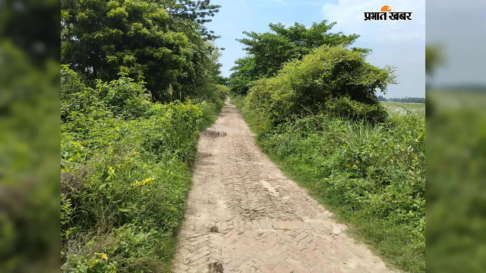सारण के धर्मपुरा गांव में सड़क की बदहाली से ग्रामीण परेशान, बरसात में पूरी तरह ठप हो जाता है आवागमन