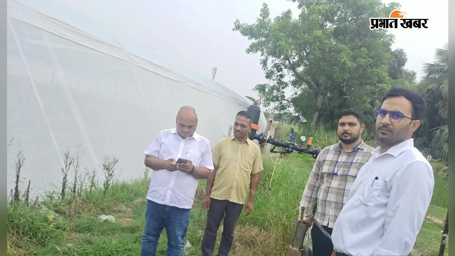 सारण: बनियापुर के किसान ने अपनायी बहुस्तरीय खेती, सीमित जमीन में बढ़ाया उत्पादन