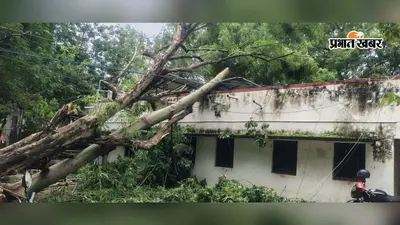 नवादा : पेड़ गिरने से तहस-नहस हुआ रजौली ब्लॉक ऑफिस बिल्डिंग, सोलर पैनल टूटा, बिजली कटी, कई बाइक को नुकसान