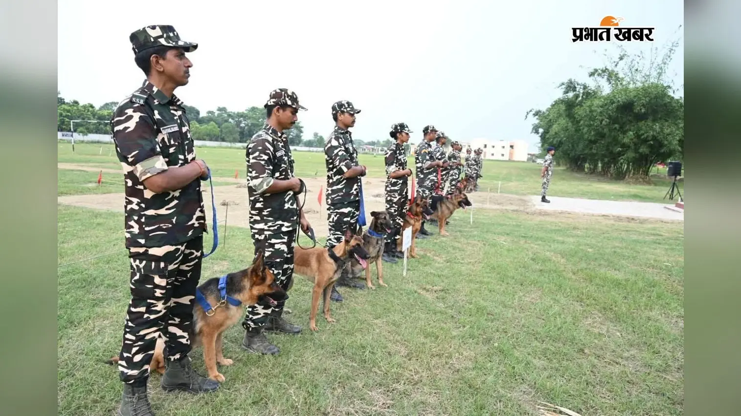 सीतामढ़ी में SSB के डॉग स्क्वायड की कड़ी परीक्षा शुरू, सूंघने से ट्रैकिंग तक परखा जा रहा हुनर