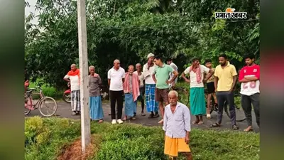 सीवान: सिसवन में जर्जर बिजली तार की चपेट में आकर भैंस की मौत, ग्रामीणों में आक्रोश