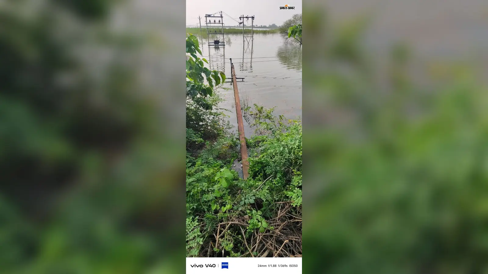 परबत्ता में बाढ़ के बीच गिरे 11 हजार वोल्ट के तीन पोल, विशौनी समेत पांच गांवों में बिजली ठप