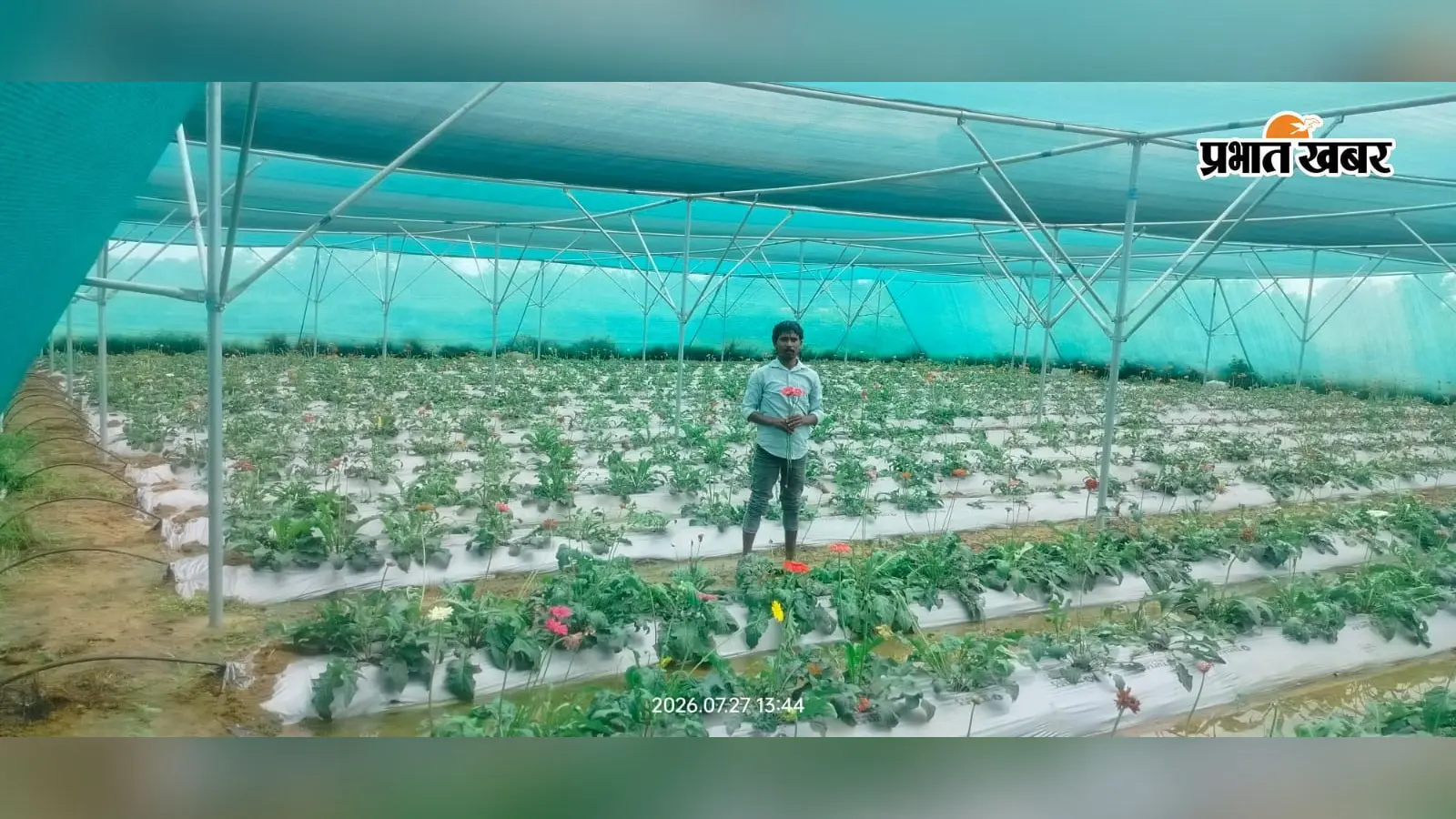 सरकारी नौकरी छोड़ खेती को चुना, ड्रिप सिंचाई से सिमडेगा के हरीश ने संवारी तकदीर