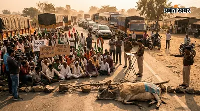 निरसा में वाहन की टक्कर से मवेशी की मौत, आक्रोशित लोगों ने एनएच जाम किया