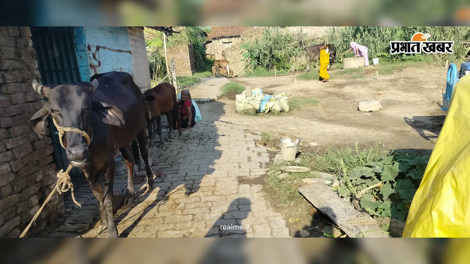मेदनीचौकी: पुराना सलेमपुर वार्ड 7 में बुनियादी सुविधाओं का टोटा; जवाहर योजना के उखड़े खड़ंजे पर चलने को मजबूर ग्रामीण