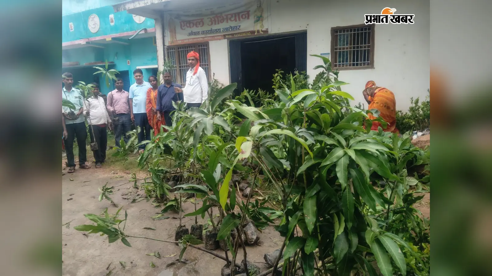 Latehar: एकल अभियान ने 10 संच में बांटे 1800 पौधे, पर्यावरण संरक्षण का दिया संदेश