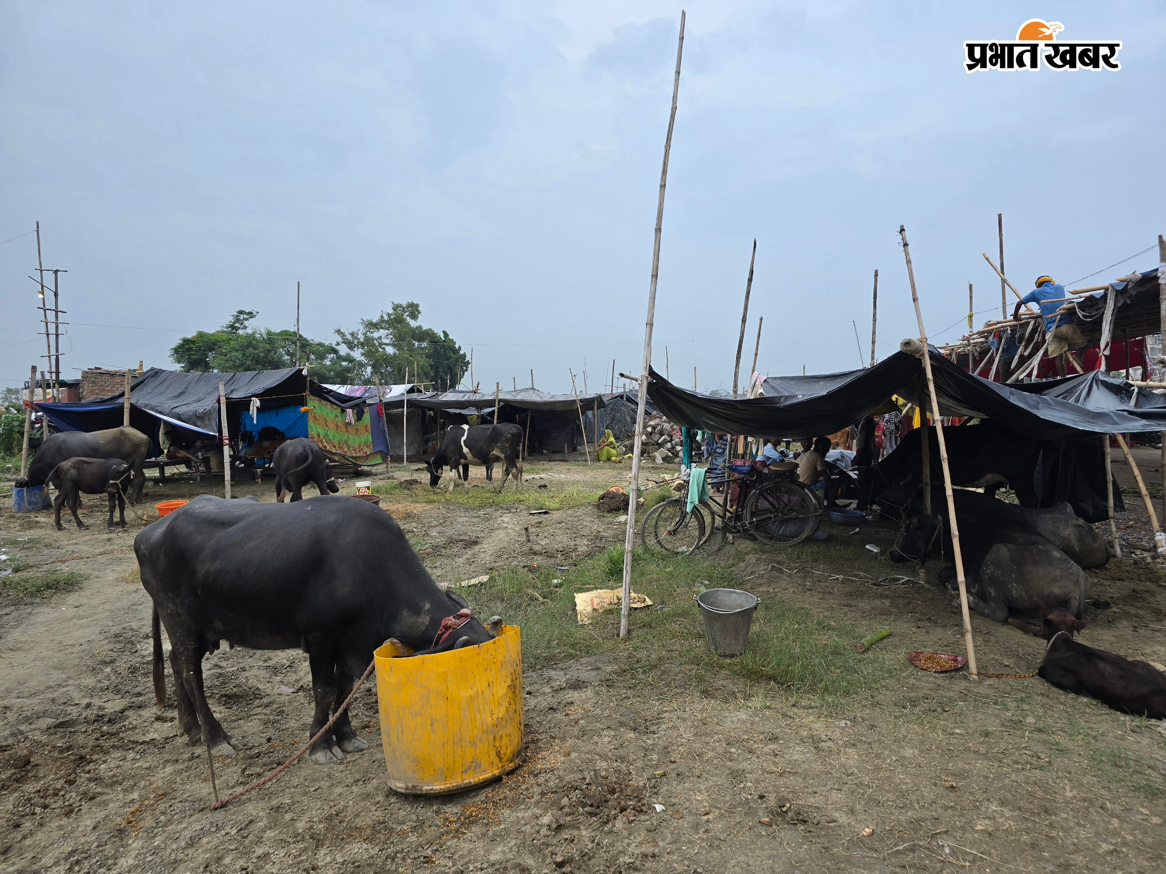 बाढ़ | Prabhat Khabar Network