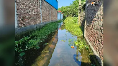 पौआखाली के शीशागाछी में महीनों से सड़क पर जलजमाव: नाला निर्माण न होने से बढ़ी परेशानी, डेंगू-मलेरिया का खतरा