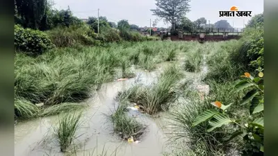 सीवान: बड़हरिया में मुख्य सारण नहर में खर-पतवार से पानी का बहाव प्रभावित, किसानों की बढ़ी चिंता