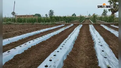 खेतों में बोरिंग और सिंचाई पर बंपर छूट: प्रधानमंत्री सूक्ष्म सिंचाई योजना के तहत किसानों को 55% तक सब्सिडी, ऐसे करें आवेदन