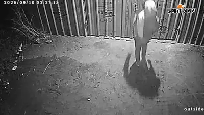 दानापुर में 24 घंटे के अंदर दूसरी बार ग्रिल दुकान में चोरी, दो लाख का सामान ले गये चोर