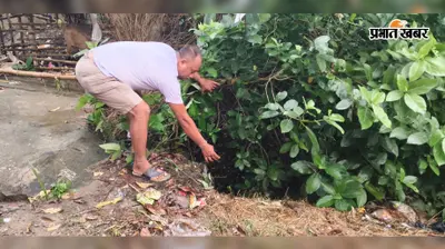 एक साल में टूटकर ध्वस्त हुआ आरसीसी नाला, 30-40 बार शिकायत के बाद भी कार्रवाई नहीं होने का आरोप