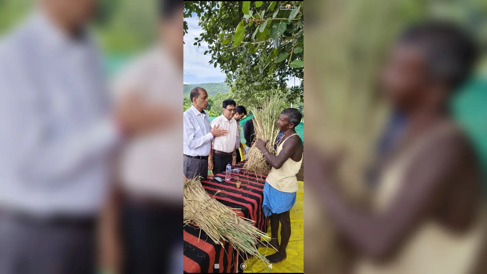 लखीसराय के आदिवासी क्षेत्र में बनेगी ‘वैली ऑफ हर्बल मेडिसिन’, 15 हजार लेमनग्रास पौधों से शुरू हुई पहल