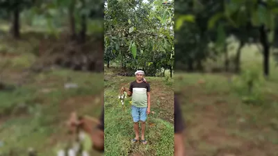 दुमका के शंभूनाथ को मिलेगा राष्ट्रीय सम्मान, देसी 'स्टिकी ट्रैप' तकनीक ने बदली तसर कीटपालन की तस्वीर.