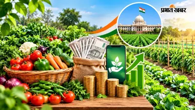 कम जमीन में सब्जी उगाकर बढ़ाएं कमाई, सरकार दे रही 20 हजार! जानें कौन किसान उठा सकता है फायदा