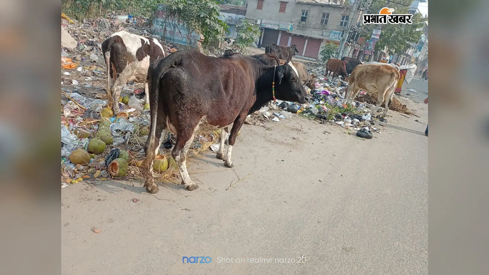 आरा में सड़क किनारे खुले में फेंका जा रहा बायोमेडिकल कचरा, बीमारी और प्रदूषण का बढ़ा खतरा