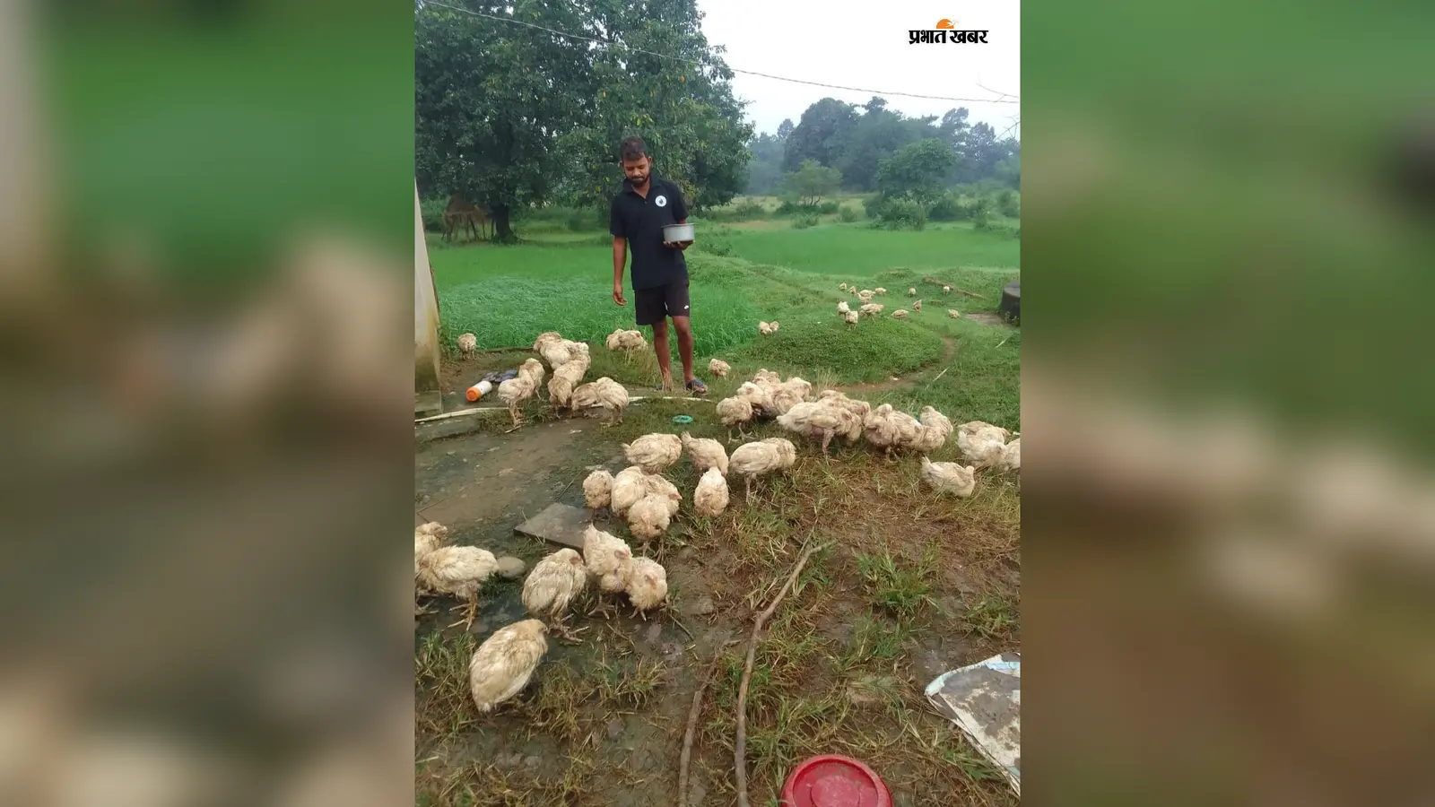 Success Story : सोशल मीडिया पर देखा वीडियो, फिर सरकारी योजना से मिले 500 चूजे... अब हर माह 10 हजार की कमाई