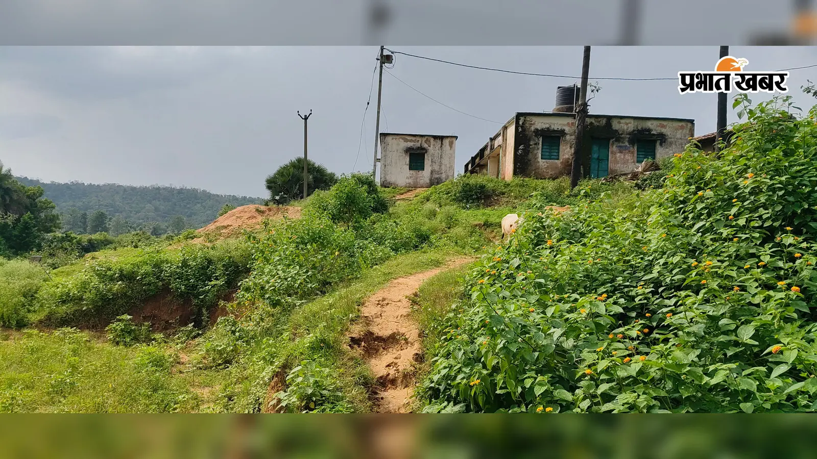 गावां के बगझंत स्कूल तक पहुंचने का रास्ता नहीं, जर्जर भवन में पढ़ रहे करीब 100 बच्चे