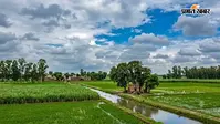 Bihar Weather: झमाझम बारिश और वज्रपात पर लगा ब्रेक, IMD ने बताया आज कैसा रहेगा पूरे बिहार का मौसम