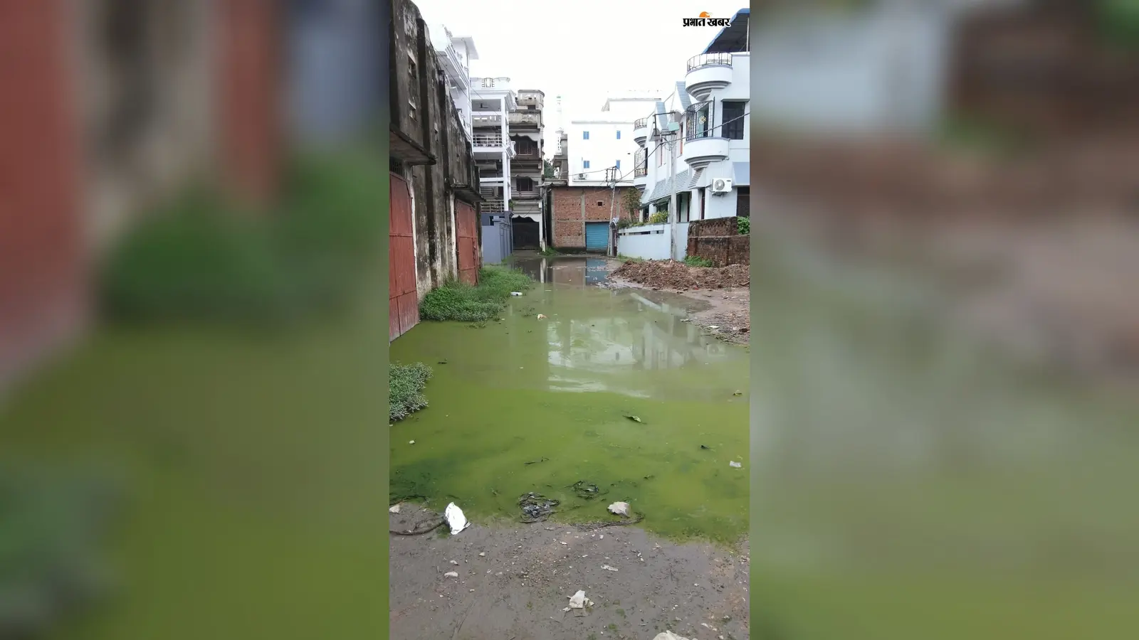 सासाराम : डेहरी के वार्ड 24 में सड़क पर जलजमाव, पानी में फिसलकर गिर रहे लोग