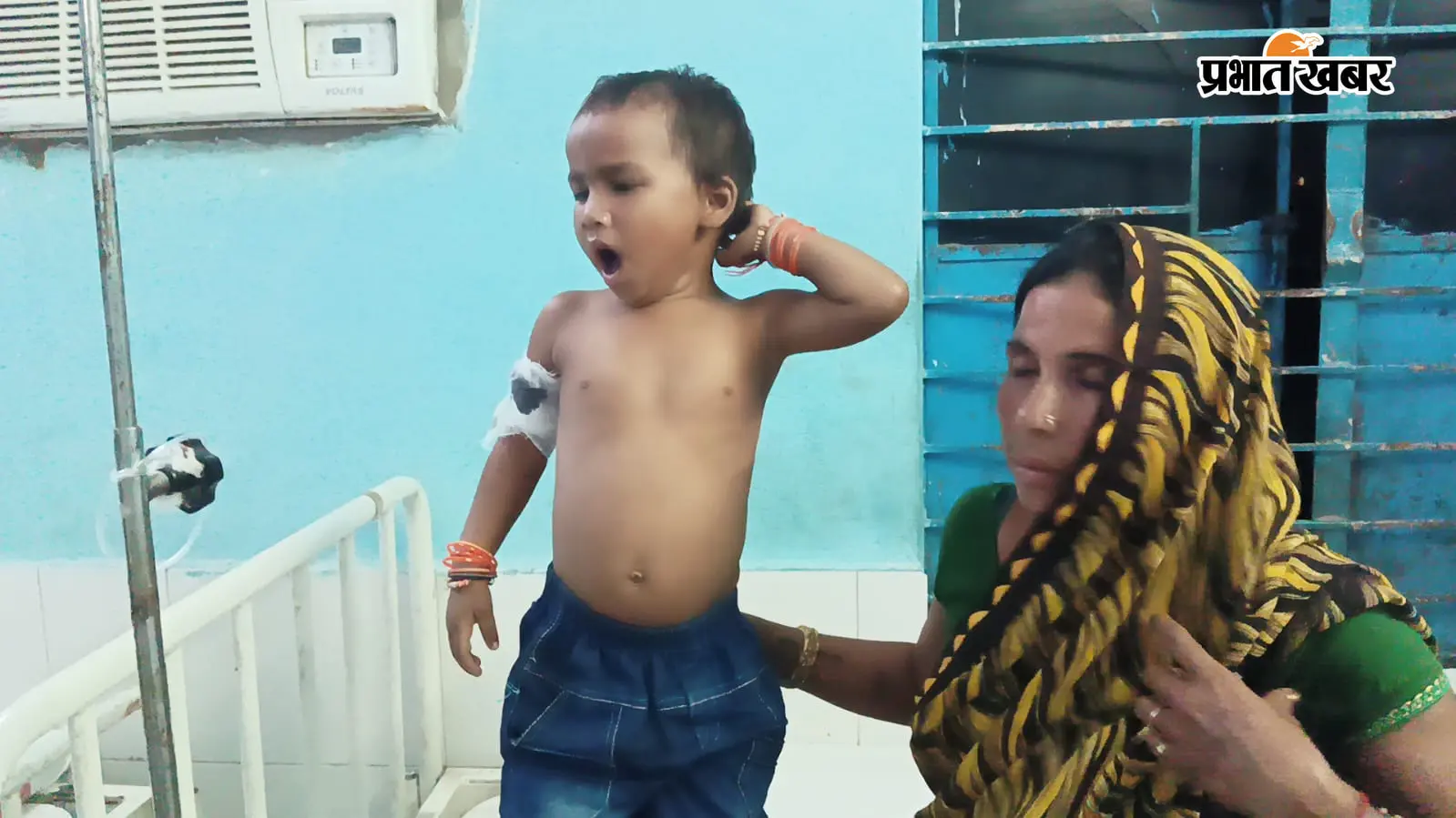 बेलदौर में जंगली जानवर का हमला, तीन साल की बच्ची समेत पांच ग्रामीण घायल, प्रशासन से सुरक्षा की मांग