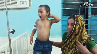 बेलदौर में जंगली जानवर का हमला, तीन साल की बच्ची समेत पांच ग्रामीण घायल, प्रशासन से सुरक्षा की मांग