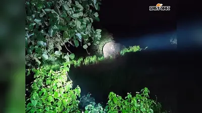 ताराटांड़ के भलपहरी गांव में अचानक घुसा हाथियों का झुंड, पुलिस और ग्रामीणों की तत्परता से टला बड़ा खतरा