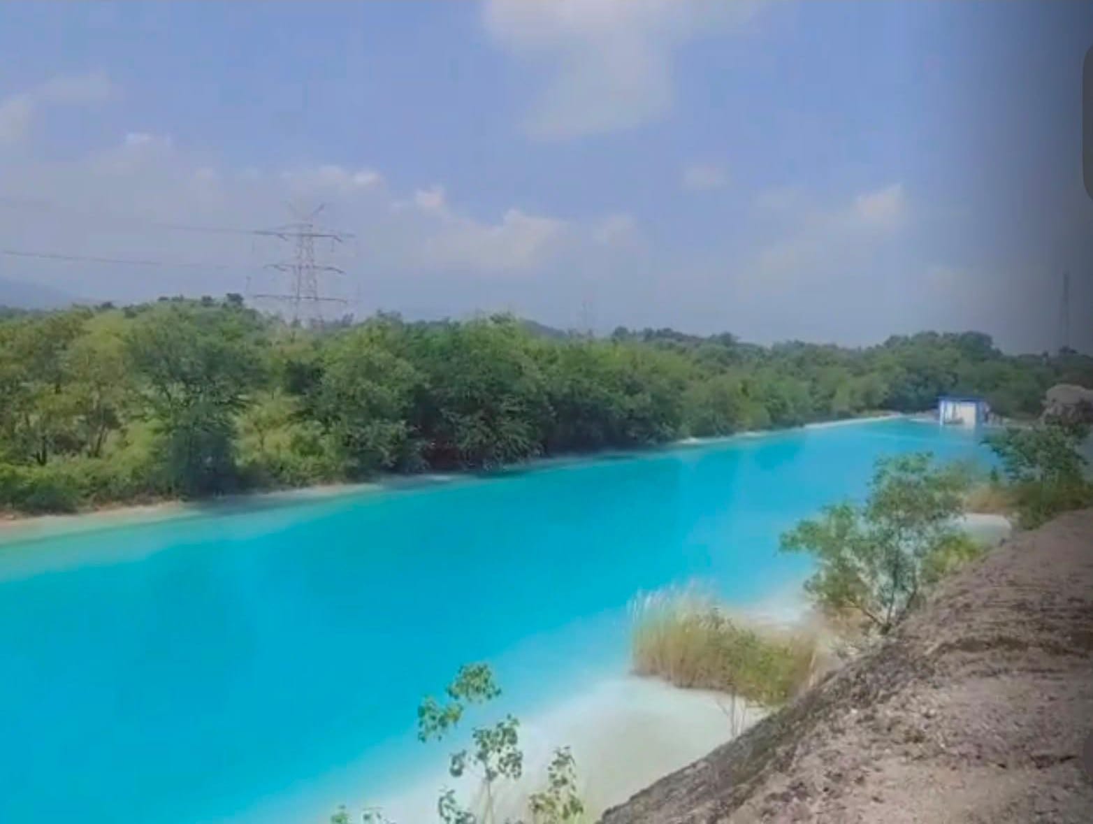 वायरल पॉण्ड की तस्वीर