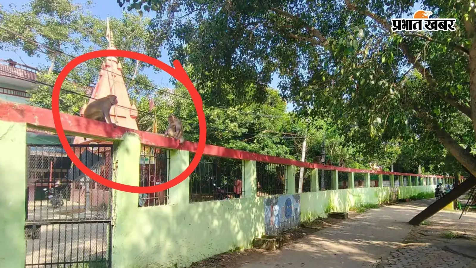 कैमूर के राजेंद्र सरोवर में अचानक पहुंचा बंदरों का झुंड, बच्चों की सुरक्षा को लेकर बढ़ी चिंता
