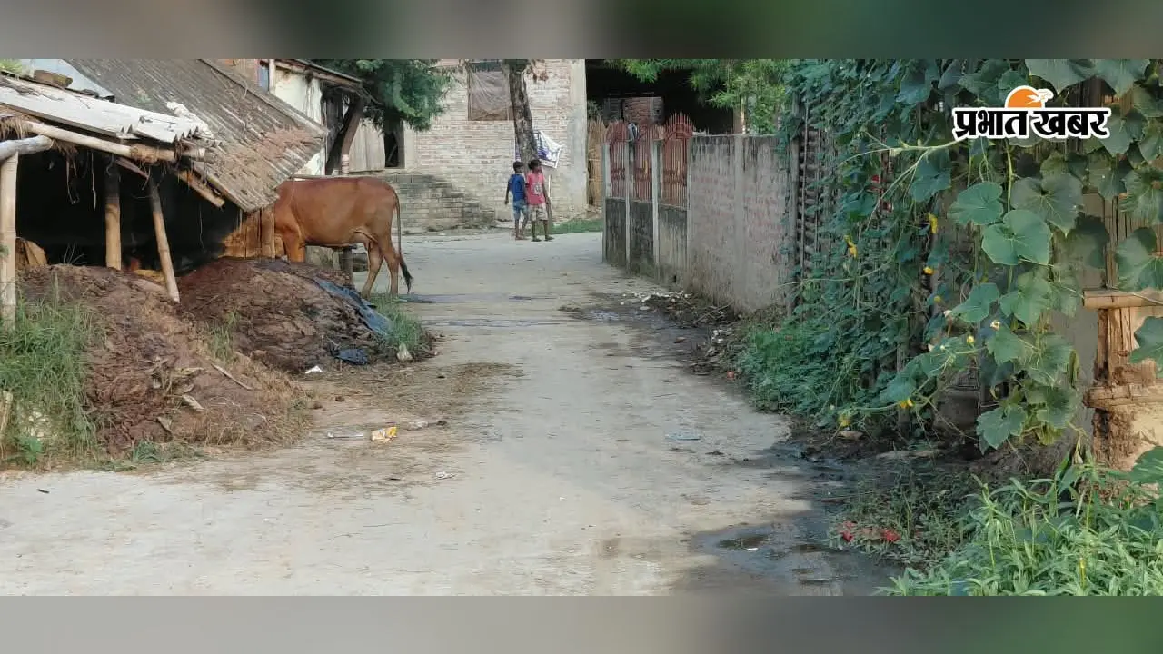 सड़क पर गोबर, कचरा या बालू-गिट्टी रखने पर लगेगा जुर्माना, ₹300 से ₹5000 तक की होगी वसूली