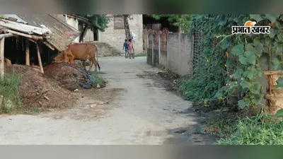 सड़क पर गोबर, कचरा या बालू-गिट्टी रखने पर लगेगा जुर्माना, ₹300 से ₹5000 तक की होगी वसूली