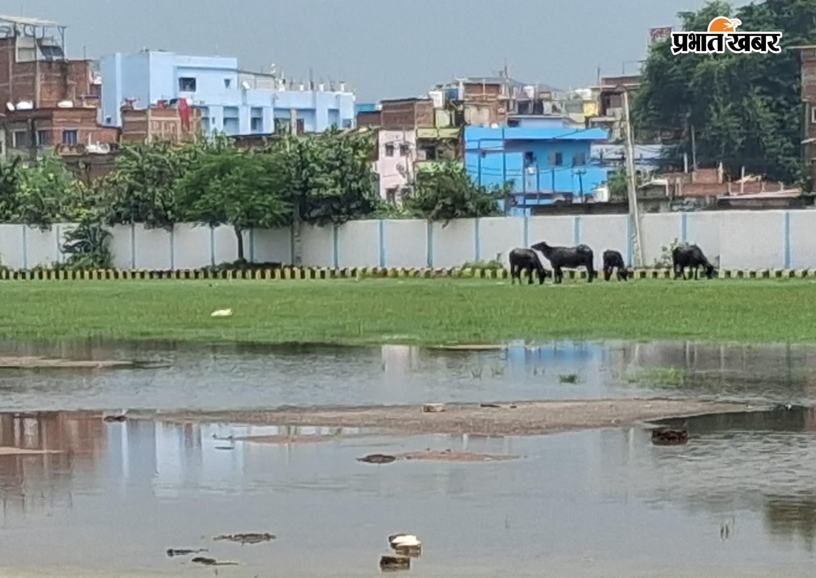 हरिश्चंद्र स्टेडियम में जाम बारिश का पानी | Prabhat Khabar Network