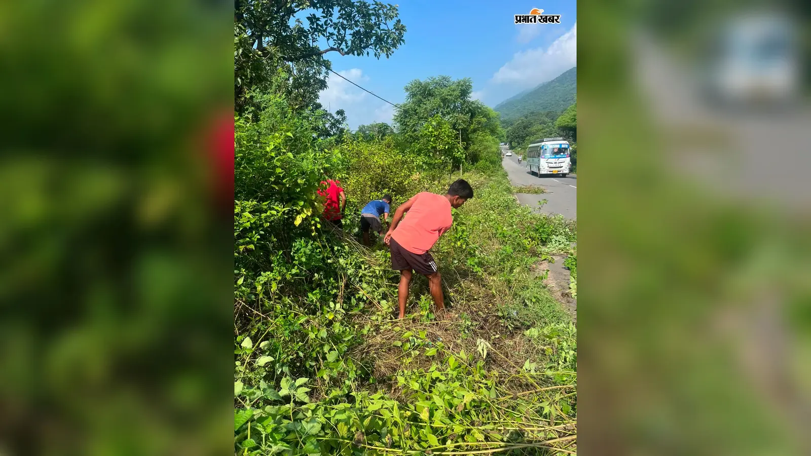 प्रशासन की अनदेखी पर युवाओं ने संभाला मोर्चा, टाटा पटमदा सड़क किनारे झाड़ियों का किया सफाई