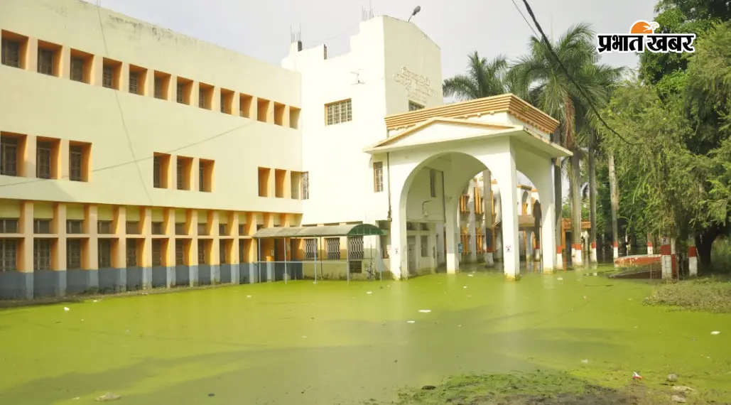 डीएसडब्ल्यू कार्यालय में सफाई के दौरान निकला जहरीला सांप, कर्मचारियों में मचा हड़कंप