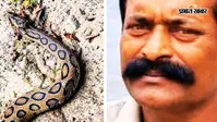 सांप को रेस्क्यू कर लौट रहे थे वाइल्ड लाइफ रेस्क्यू टीम के सदस्य मलय घोष, उसी सांप ने काटा