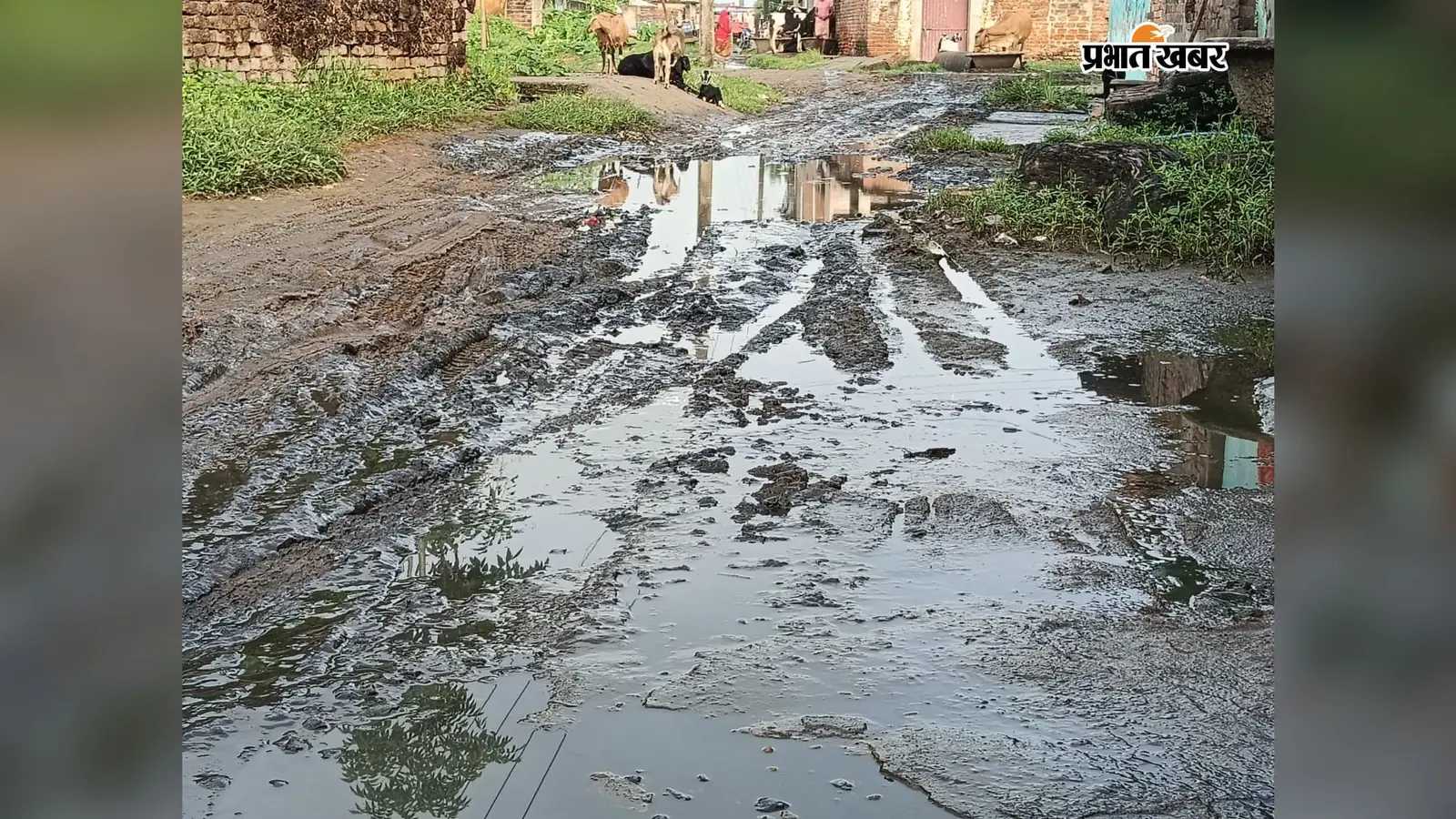 मिर्जापुर की मुख्य सड़क पर जलजमाव से ग्रामीण परेशान, बोले- समाधान नहीं हुआ तो करेंगे सड़क जाम