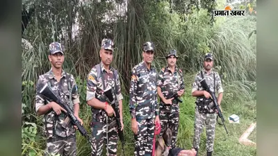 इंडो-नेपाल बॉर्डर पर 52 किलो गांजा बरामद, एसएसबी को देखते ही नदी में कूदे तस्कर