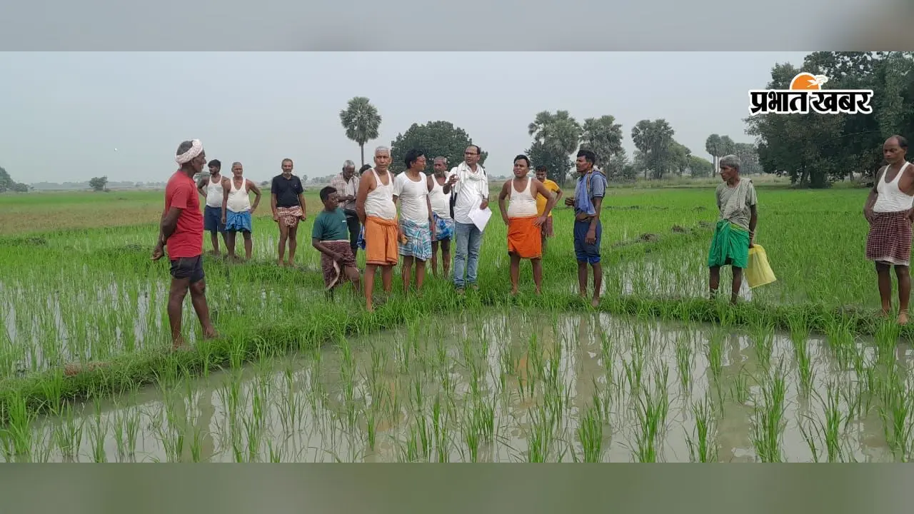 नवादा : लक्ष्मी बिगहा में भूमि सर्वे का कार्य जारी, 200 प्लॉट का हुआ सर्वे, दखल-कब्जा से लेकर किश्तवार तक की जांच