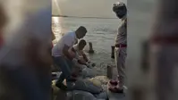करिहो में मिला दुर्लभ इंडियन फ्लैपशेल कछुआ, देखने उमड़ी भीड़, वन विभाग ने रेस्क्यू कर कोसी नदी में सुरक्षित छोड़ा